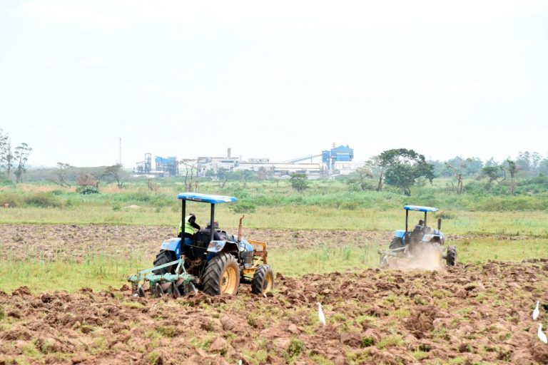 Uganda signs $400m deal for green hydrogen fertiliser plant; when will Ghana’s plant begin?